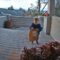 Sweet Little Boy Delivers Joy with His Doorbell Ring | A Heartwarming Delight for All Heartsome