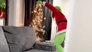 The-Grinchs-Epic-Fail-Stole-Christmas-Tree-from-the-Wrong.jpg