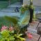Twins Weep for Raccoons as Five Skunks Make a Hilarious Getaway | Try Not to Laugh!