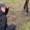 Unexpected Rodeo: Rider’s Epic Duel with a Bucking Horse! | Try Not to Laugh