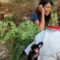 A Girl and Her Monkey: Discovering the Magic of Unlikely Friendship! | Heartsome