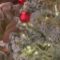 A Pup’s Joyful Journey Through the Christmas Tree Wonder || Heartwarming