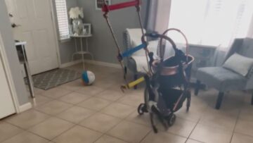 Adorable-monkey-transforms-living-room-into-jungle-gym-Super.jpg