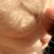 Adventurous cat gets stunning glow up Amazing transformation | Cute