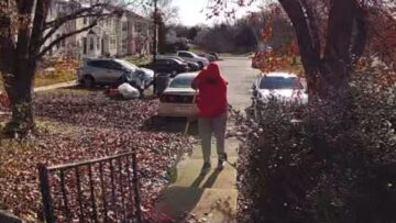 Cute-squirrel-narrowly-escapes-broom-sweep-Adorable.jpg