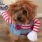 Dog rocks Chucky costume for Halloween | Adorable
