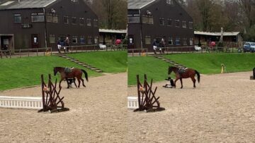Epic-Showjumping-Oops-When-Horsepower-Meets-Epic-Faceplant-Try.jpg