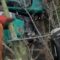 Oops, That Tree Tried to Fight Back! Don’t Skip Cut Protection | Try Not to Laugh!