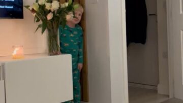 Tiny-Terror-Brothers-Ingenious-Prank-Leaves-Sister-Screaming-Try.jpg