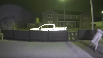 Tipsy-Antics-Caught-on-Camera-Doorbell-Mishap-You-Cant-Miss.jpg