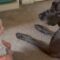 Unexpectedly adorable: Baby gives dog a kiss | Super Cute