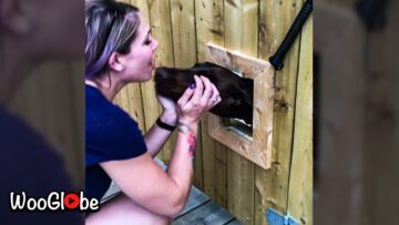 Emotional-Reunion-Dogs-Joyful-Surprise-for-Owner-After-4-Long.jpg