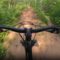 Epic Trail Ride Takes a Wild Turn: Prepare for Laughter! | Try Not to Laugh