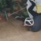Epic VR Fail: Dude Loses Grip on Reality and Crashes! | Try Not to Laugh!