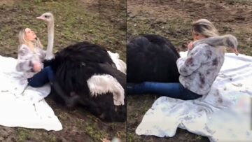 Girl-snuggles-with-adorable-ostrich-Cute.jpg