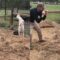 Playful Goat Dances on Hind Legs in a Joyful Duel with a Man’s Heart | Heartwarming