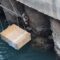 Brave Heroes Come to the Rescue of a Stranded Cat in Need of Love | Heartwarming