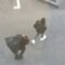 Epic Garbage Bag Fail: Hilarity Unleashed in This Spill! | Try Not to Laugh
