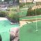 Epic Mini Golf Shot Goes Hilariously Wrong! Can You Keep a Straight Face? | Try Not to Laugh
