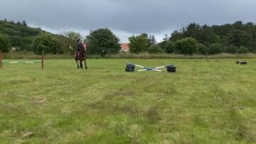 Mid-Jump-Mishap-Equestrians-Epic-Tumble-as-Horse-Pulls-a-Houdini.jpg