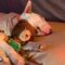 Sleepy Pup Snuggles Toy | Adorable