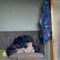 “Little Boy’s Epic Reaction to Gender Reveal: You Won’t Believe This! | Try Not to Laugh”