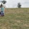 Epic Downhill Adventure Ends in a Hilarious Bushy Crash! | Adorable