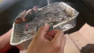 Mobile-BBQ-Party-Epic-Road-Trip-After-Park-Picnic-Fail.jpg