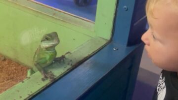 Young-Boys-Fascinating-Journey-into-the-World-of-Reptiles-at.jpg