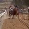 Anxious Mare Discovers Joy and Comfort in Gentle Friendship | Heartwarming