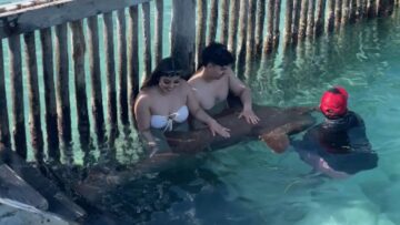Baby-Shark-Surprises-Boy-with-a-Splash-You-Wont-Believe.jpg