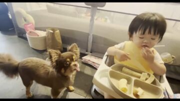 Cutest-Mealtime-Ever-Baby-and-Dog-Share-a-Snack-with.jpg