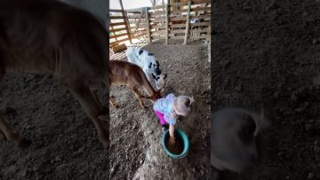 Epic-Laughs-Ahead-Watch-These-Hilarious-Fails-That-Will-Leave.jpg
