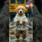 Puppy Joy and Raindrop Adventures at the Café | A Heartwarming Journey | Heartsome
