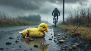 The-Little-Duck-and-His-Best-Friends-Journey-of-Love.jpg
