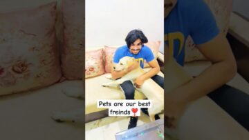 Watch-This-Adorable-Puppy-Spread-Love-and-Joy-You-Wont.jpg